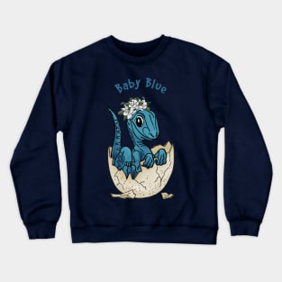 Baby Blue Crewneck Sweatshirt